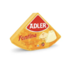 QUESO ADLER FONTINA 100 GR