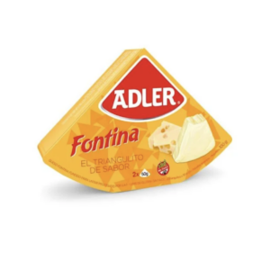 QUESO ADLER FONTINA 100 GR