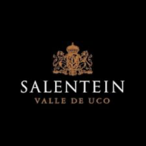 SALENTEIN