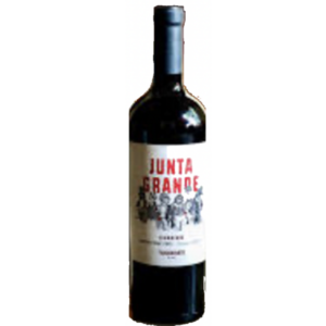 JUNTA GRANDE