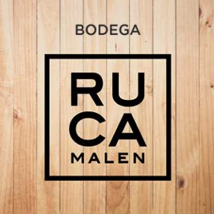 BODEGA RUCA MALEN